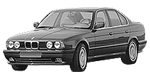 BMW E34 P1AEE Fault Code